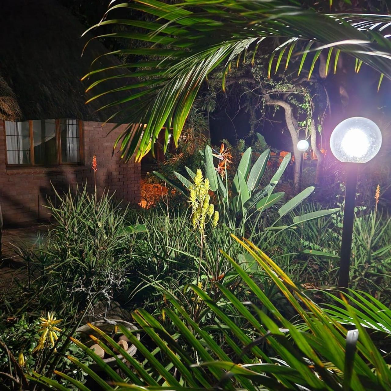 Orange Gecko Cottage 팔라보르와 외부 사진